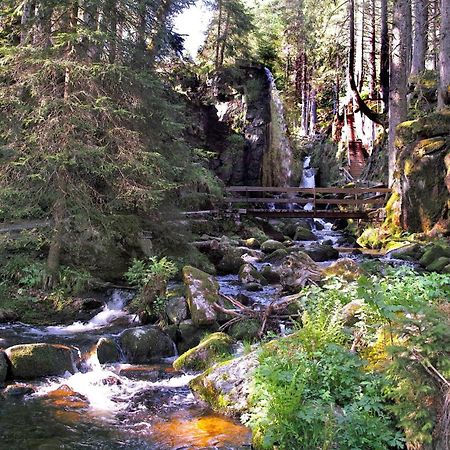 C4 Albmatte-Fewo Sauna, Hallenbad Aussenbecken Massagen Nebenan Menzenschwand-Hinterdorf Exteriör bild