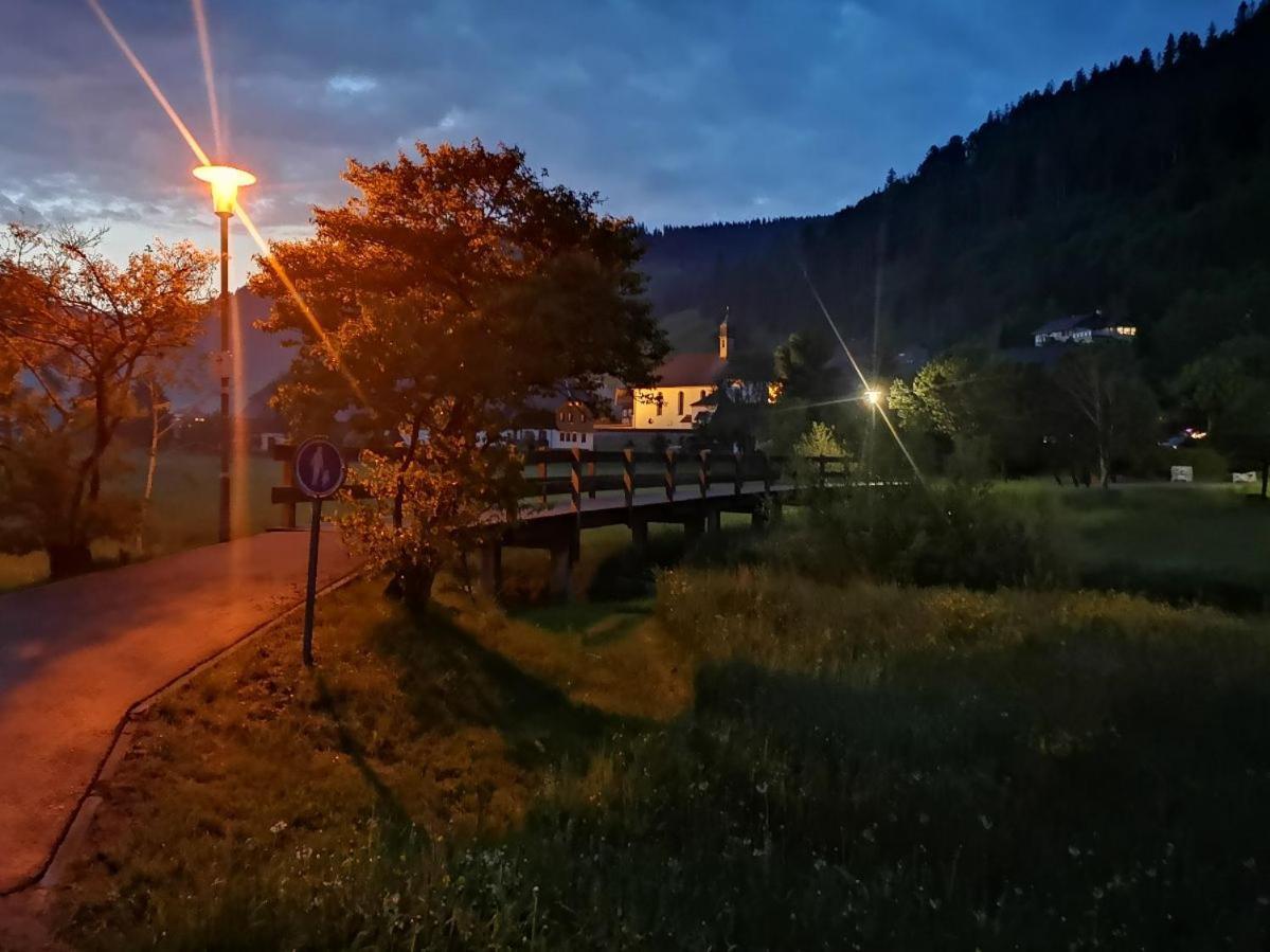 C4 Albmatte-Fewo Sauna, Hallenbad Aussenbecken Massagen Nebenan Menzenschwand-Hinterdorf Exteriör bild