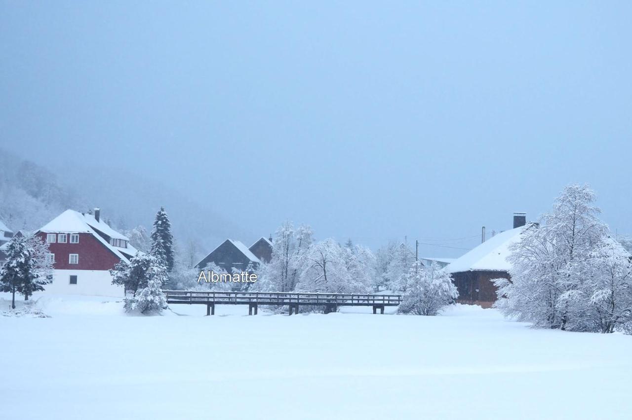 C4 Albmatte-Fewo Sauna, Hallenbad Aussenbecken Massagen Nebenan Menzenschwand-Hinterdorf Exteriör bild