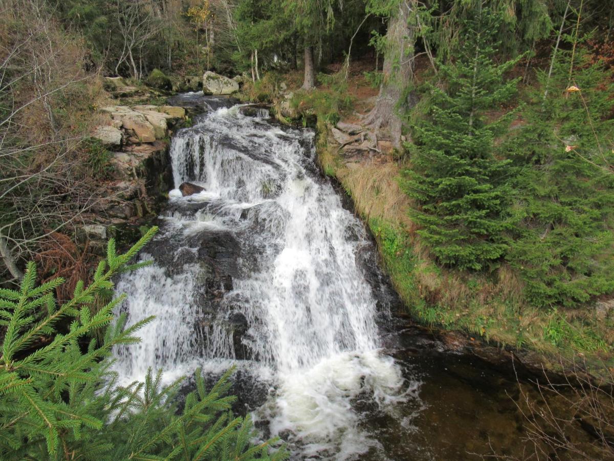 C4 Albmatte-Fewo Sauna, Hallenbad Aussenbecken Massagen Nebenan Menzenschwand-Hinterdorf Exteriör bild