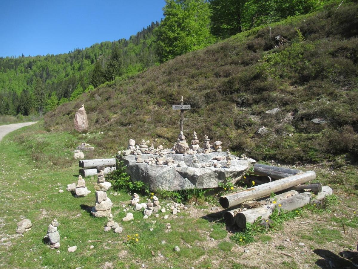 C4 Albmatte-Fewo Sauna, Hallenbad Aussenbecken Massagen Nebenan Menzenschwand-Hinterdorf Exteriör bild