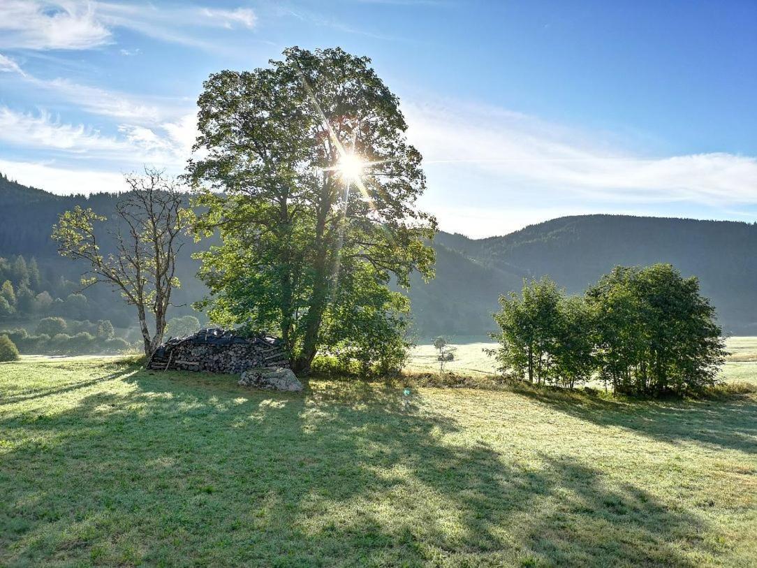 C4 Albmatte-Fewo Sauna, Hallenbad Aussenbecken Massagen Nebenan Menzenschwand-Hinterdorf Exteriör bild