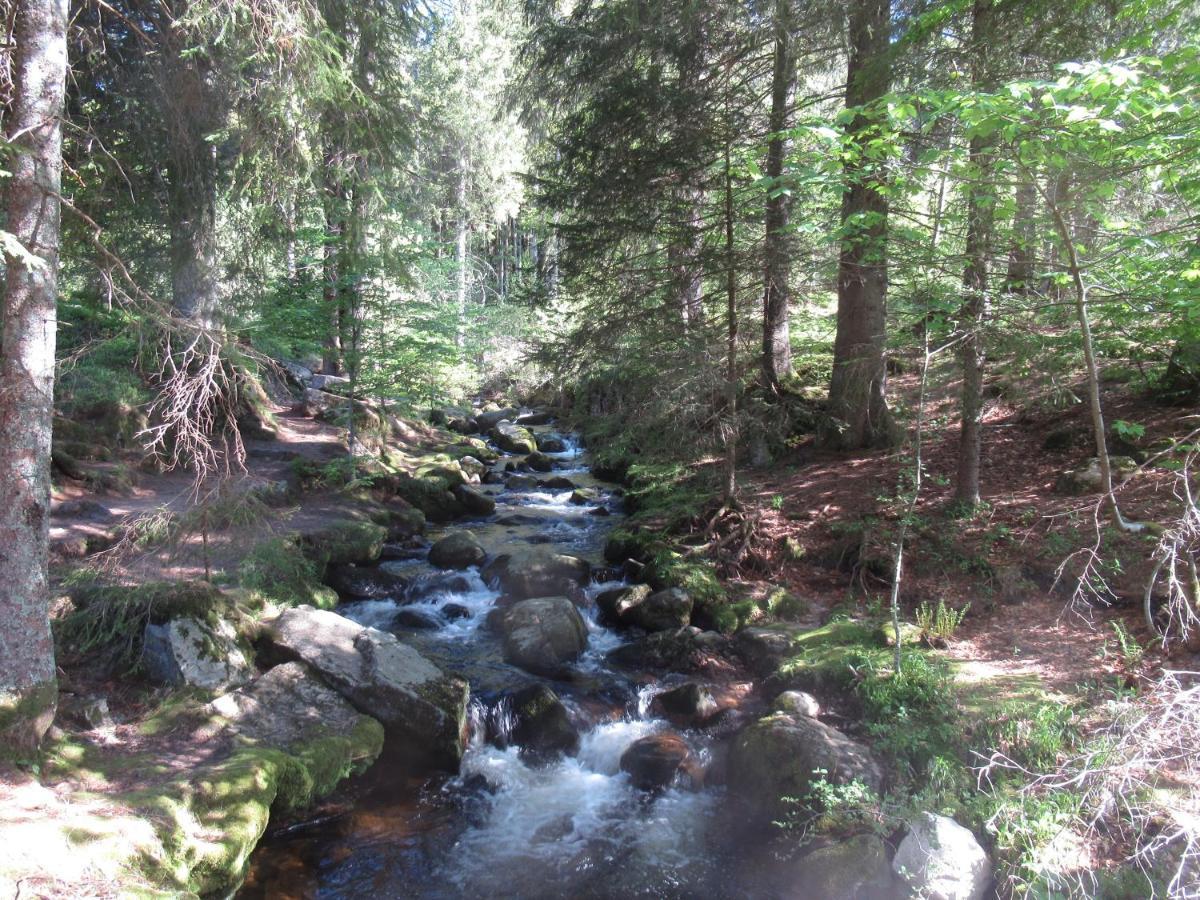 C4 Albmatte-Fewo Sauna, Hallenbad Aussenbecken Massagen Nebenan Menzenschwand-Hinterdorf Exteriör bild