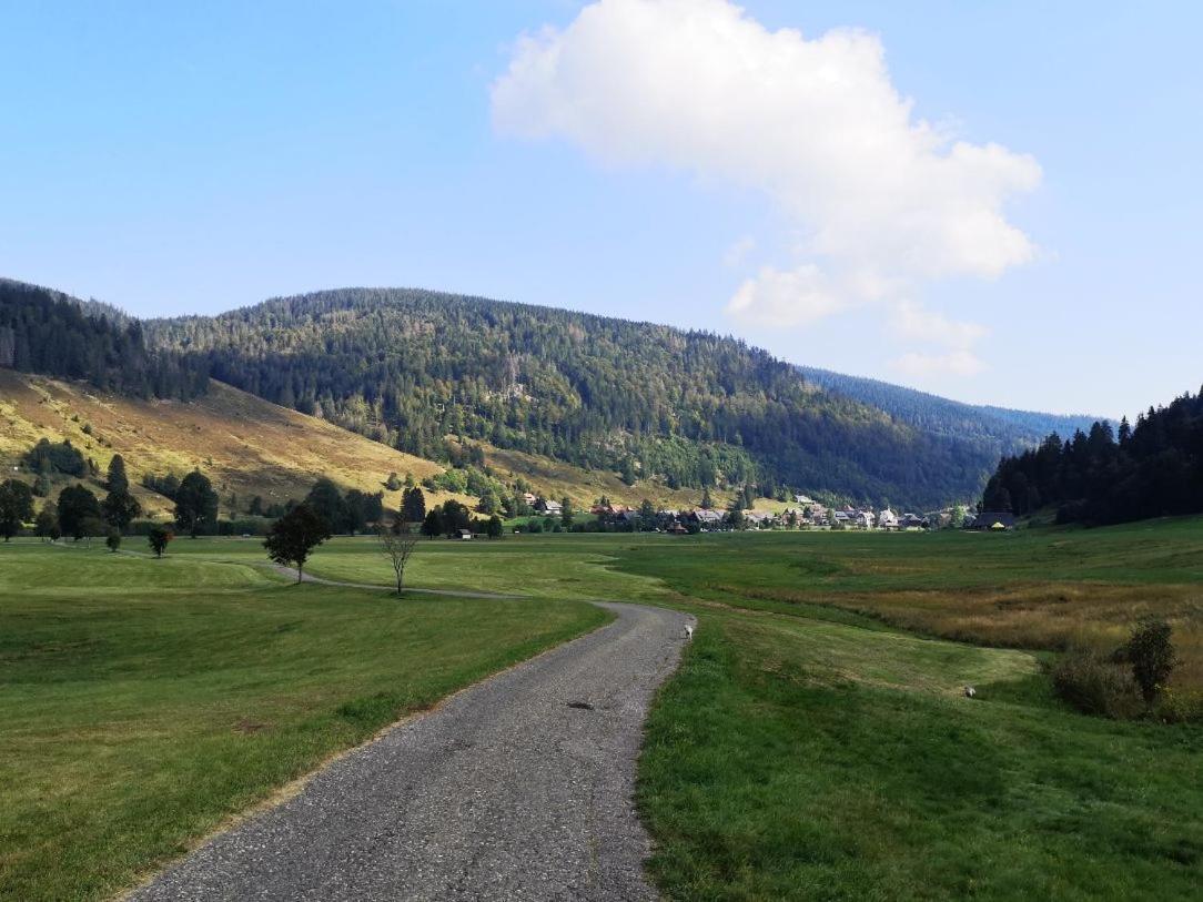 C4 Albmatte-Fewo Sauna, Hallenbad Aussenbecken Massagen Nebenan Menzenschwand-Hinterdorf Exteriör bild