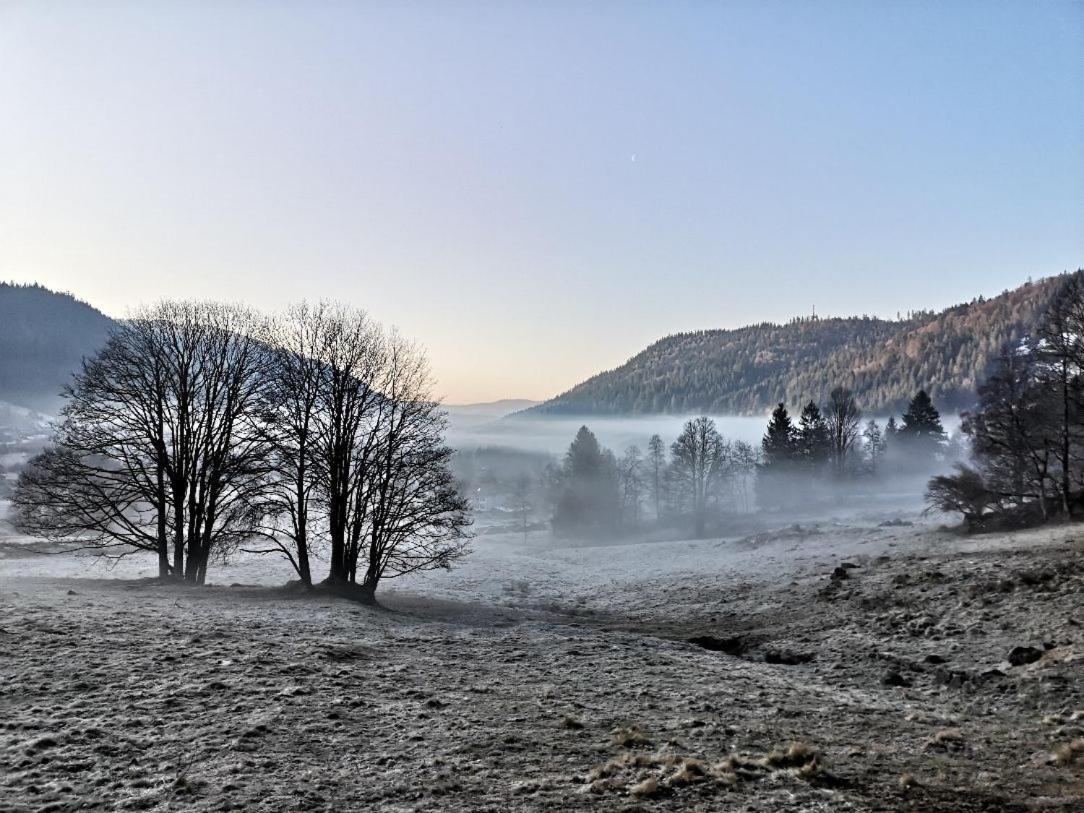 C4 Albmatte-Fewo Sauna, Hallenbad Aussenbecken Massagen Nebenan Menzenschwand-Hinterdorf Exteriör bild