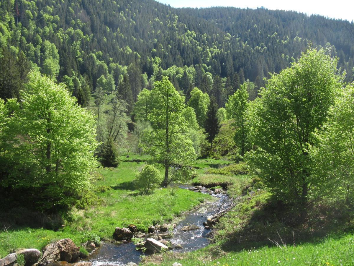 C4 Albmatte-Fewo Sauna, Hallenbad Aussenbecken Massagen Nebenan Menzenschwand-Hinterdorf Exteriör bild