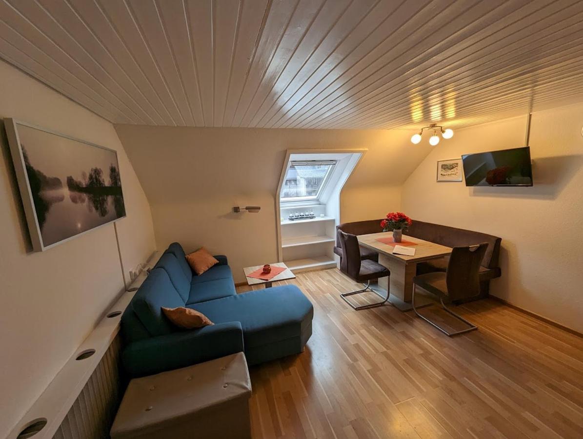 C4 Albmatte-Fewo Sauna, Hallenbad Aussenbecken Massagen Nebenan Menzenschwand-Hinterdorf Exteriör bild
