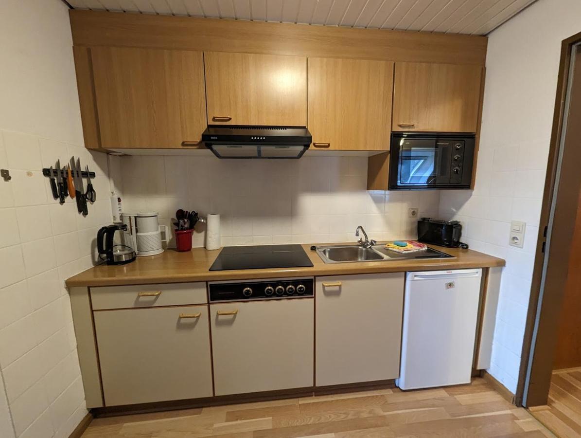 C4 Albmatte-Fewo Sauna, Hallenbad Aussenbecken Massagen Nebenan Menzenschwand-Hinterdorf Exteriör bild