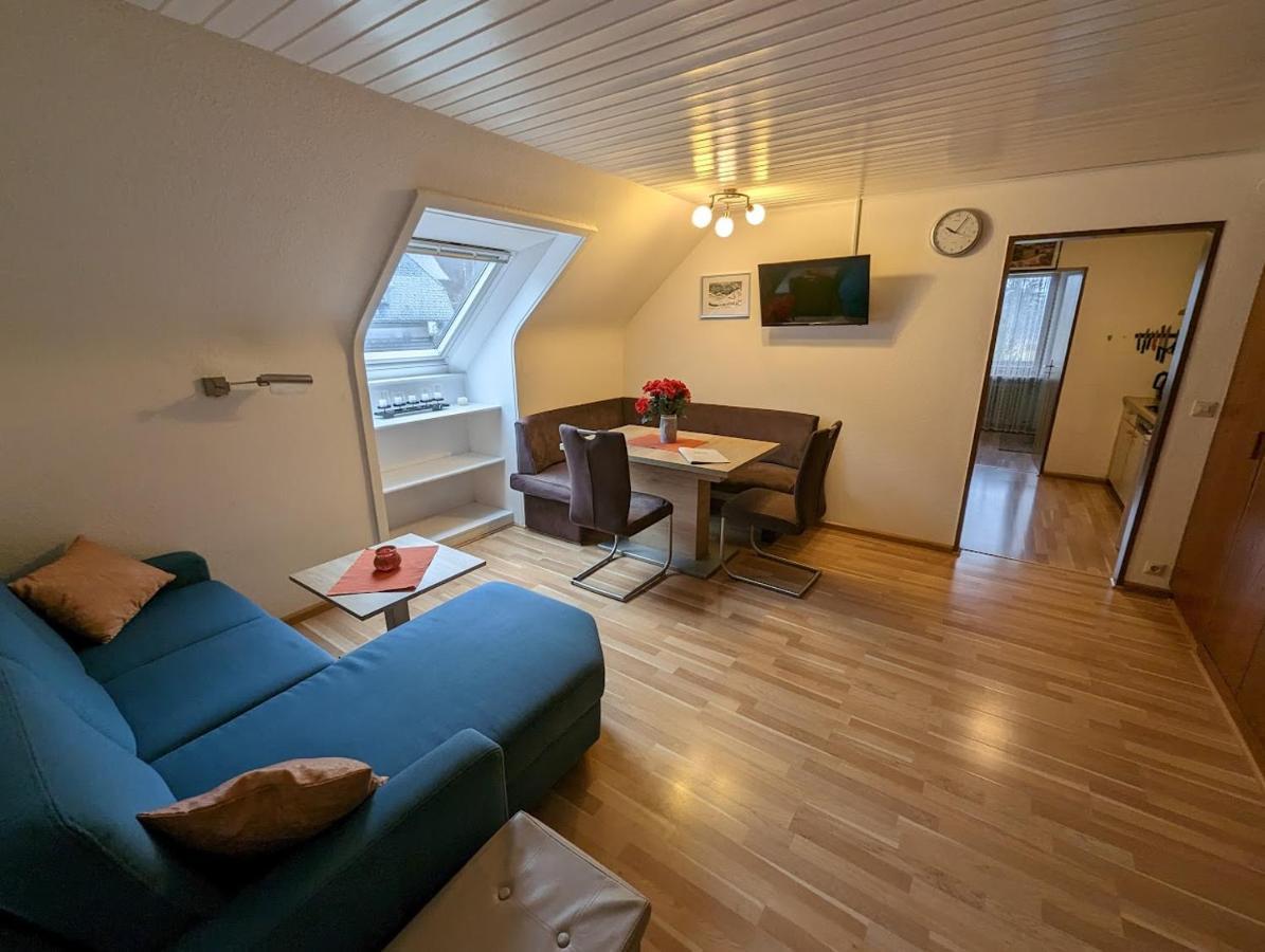 C4 Albmatte-Fewo Sauna, Hallenbad Aussenbecken Massagen Nebenan Menzenschwand-Hinterdorf Exteriör bild