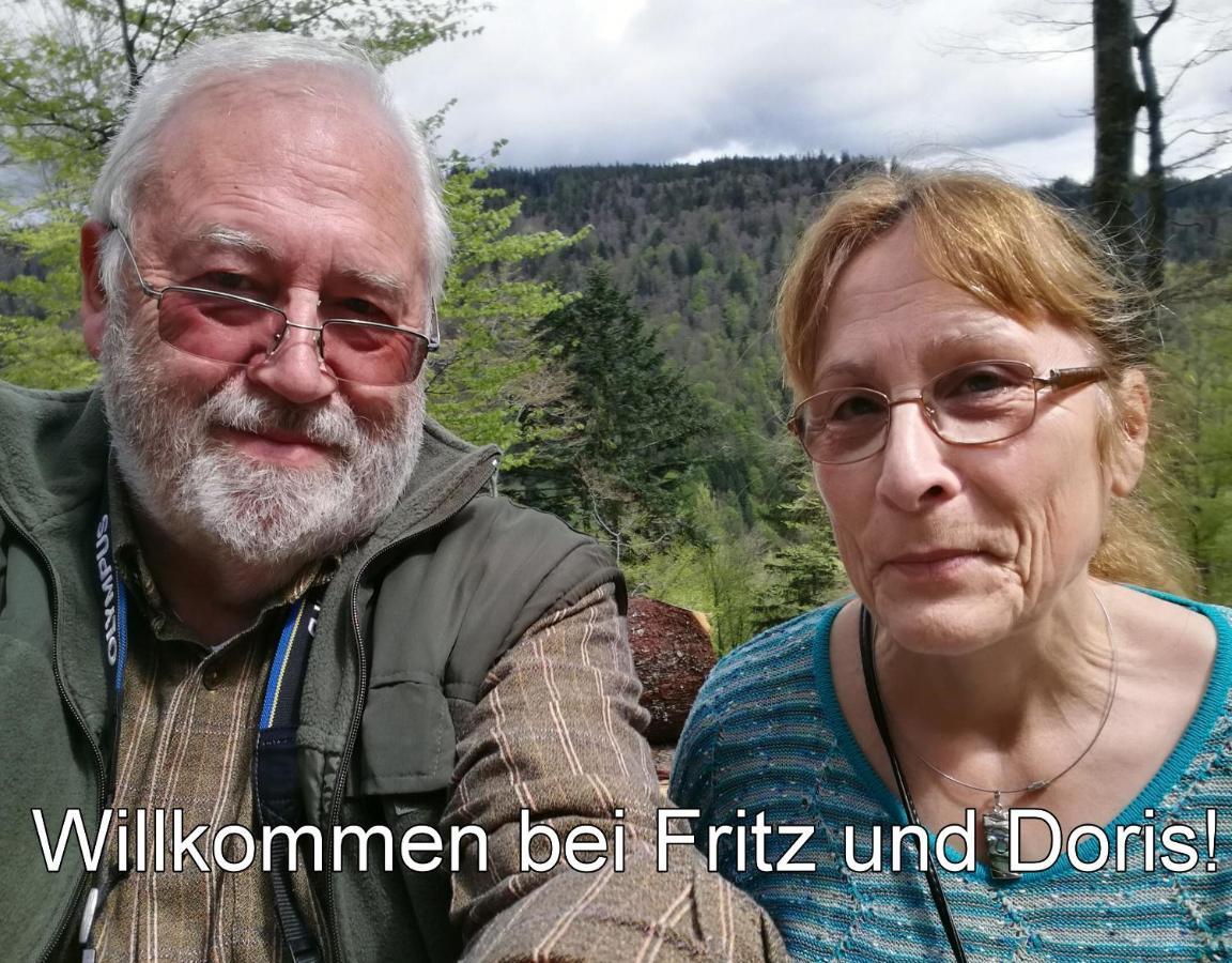 C4 Albmatte-Fewo Sauna, Hallenbad Aussenbecken Massagen Nebenan Menzenschwand-Hinterdorf Exteriör bild