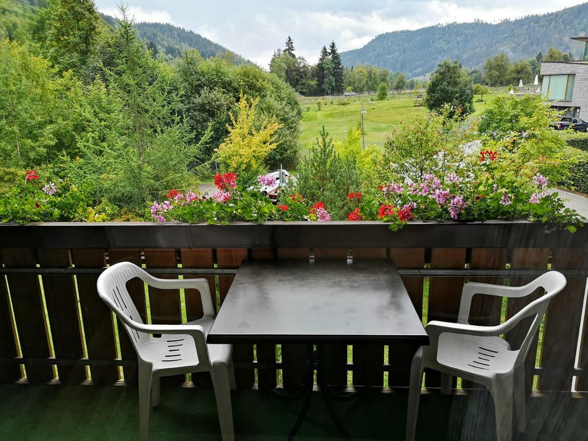 C4 Albmatte-Fewo Sauna, Hallenbad Aussenbecken Massagen Nebenan Menzenschwand-Hinterdorf Exteriör bild