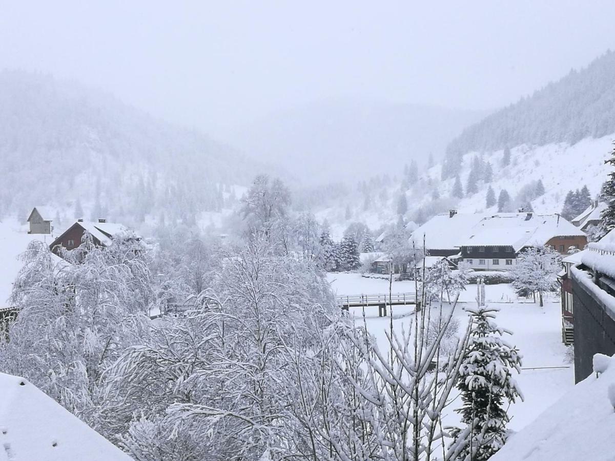 C4 Albmatte-Fewo Sauna, Hallenbad Aussenbecken Massagen Nebenan Menzenschwand-Hinterdorf Exteriör bild