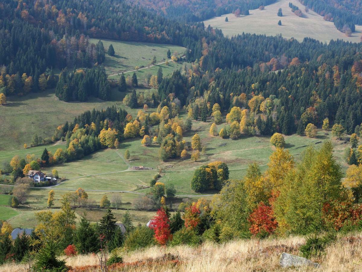 C4 Albmatte-Fewo Sauna, Hallenbad Aussenbecken Massagen Nebenan Menzenschwand-Hinterdorf Exteriör bild