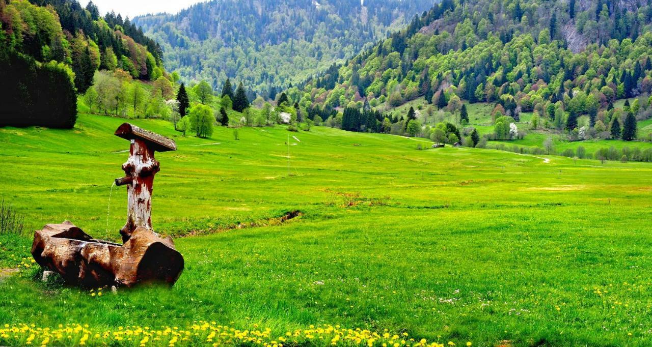 C4 Albmatte-Fewo Sauna, Hallenbad Aussenbecken Massagen Nebenan Menzenschwand-Hinterdorf Exteriör bild