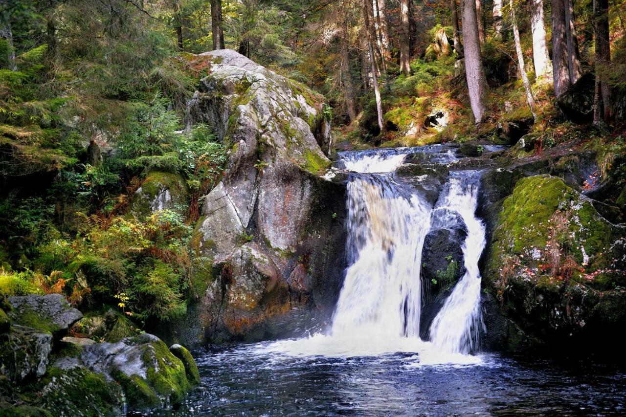 C4 Albmatte-Fewo Sauna, Hallenbad Aussenbecken Massagen Nebenan Menzenschwand-Hinterdorf Exteriör bild