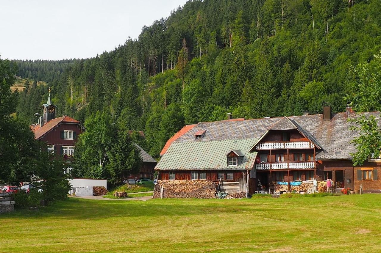 C4 Albmatte-Fewo Sauna, Hallenbad Aussenbecken Massagen Nebenan Menzenschwand-Hinterdorf Exteriör bild