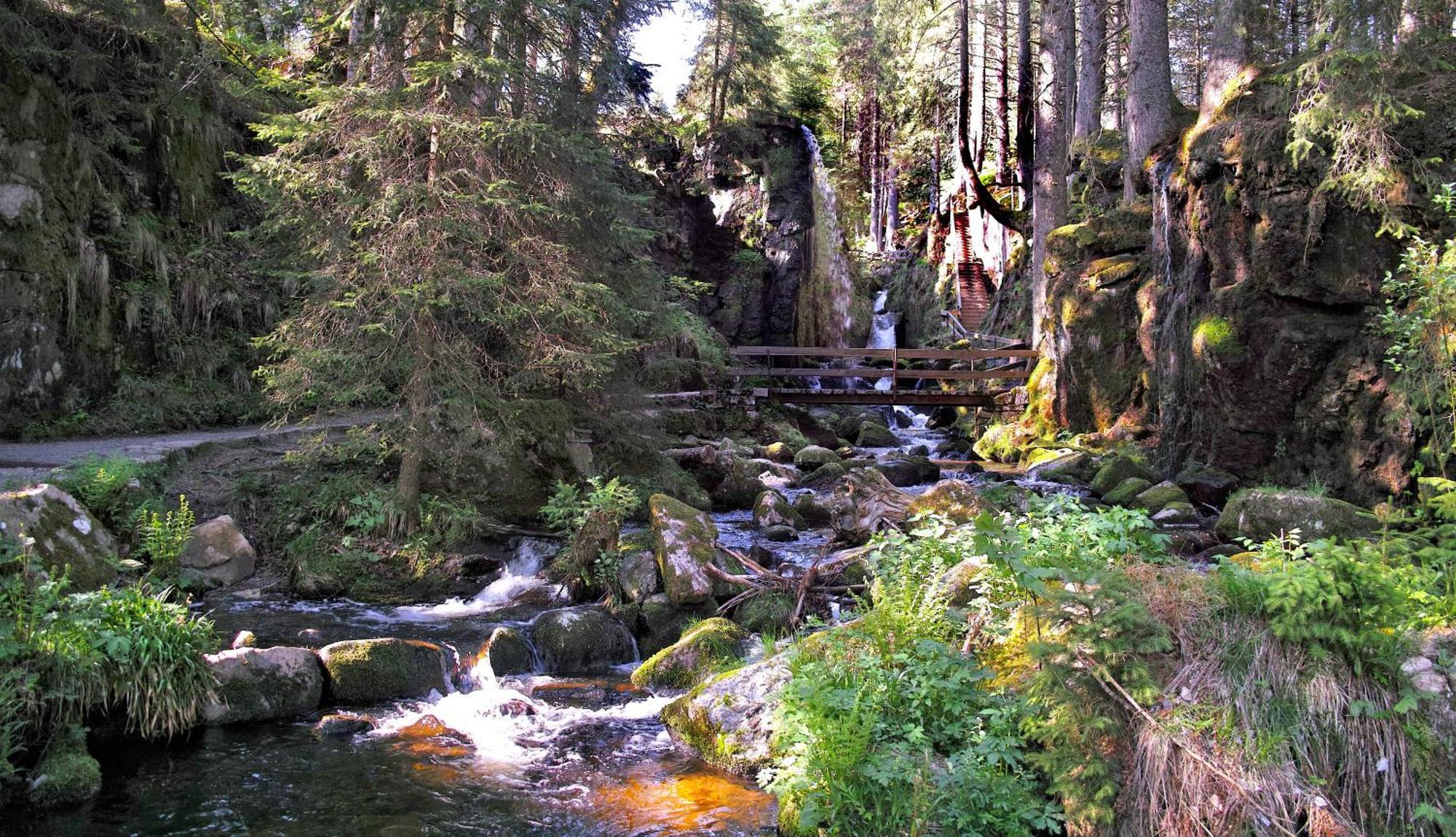C4 Albmatte-Fewo Sauna, Hallenbad Aussenbecken Massagen Nebenan Menzenschwand-Hinterdorf Exteriör bild