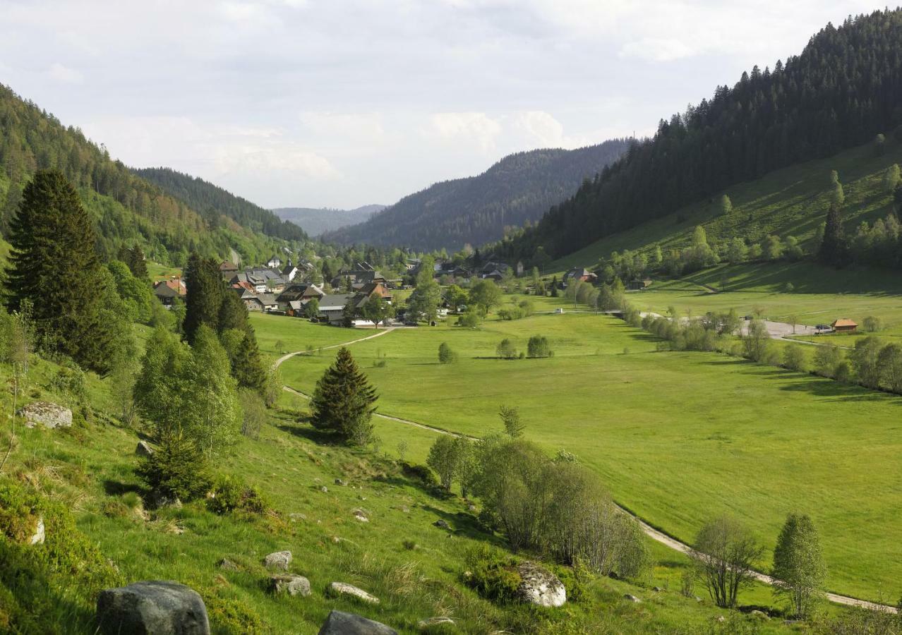 C4 Albmatte-Fewo Sauna, Hallenbad Aussenbecken Massagen Nebenan Menzenschwand-Hinterdorf Exteriör bild