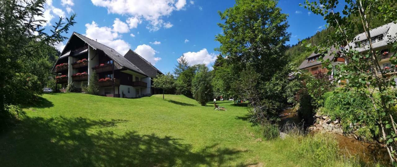 C4 Albmatte-Fewo Sauna, Hallenbad Aussenbecken Massagen Nebenan Menzenschwand-Hinterdorf Exteriör bild