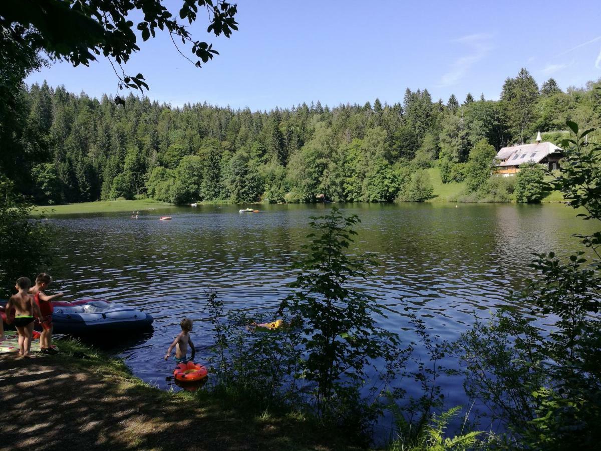 C4 Albmatte-Fewo Sauna, Hallenbad Aussenbecken Massagen Nebenan Menzenschwand-Hinterdorf Exteriör bild