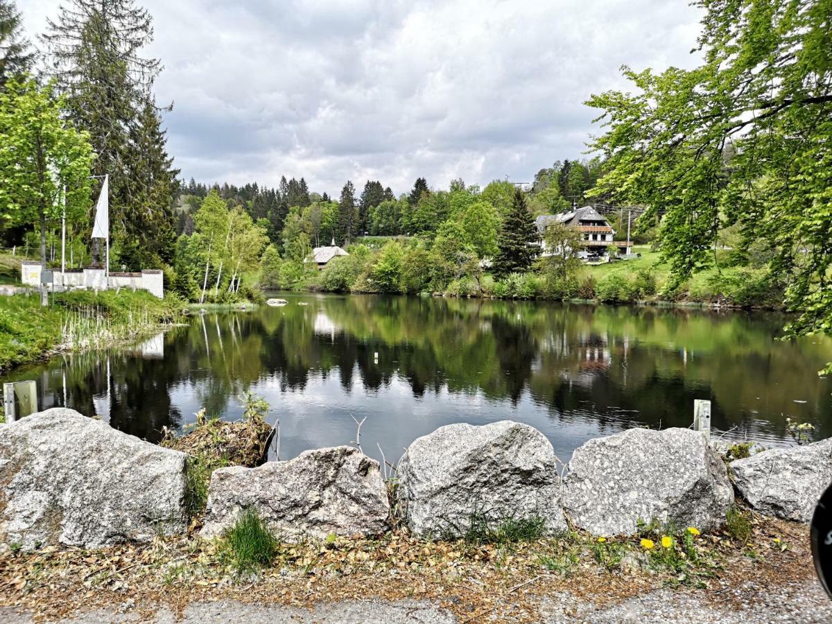 C4 Albmatte-Fewo Sauna, Hallenbad Aussenbecken Massagen Nebenan Menzenschwand-Hinterdorf Exteriör bild