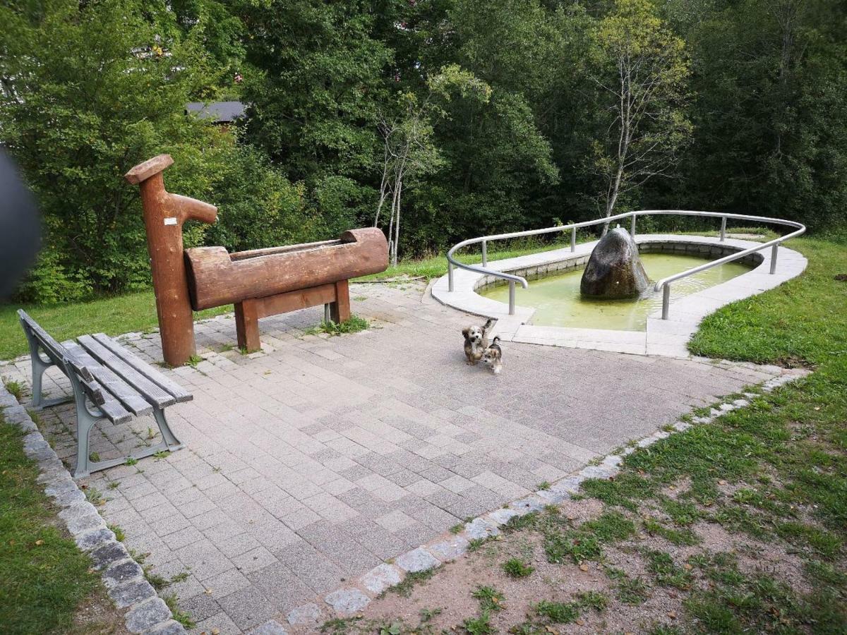 C4 Albmatte-Fewo Sauna, Hallenbad Aussenbecken Massagen Nebenan Menzenschwand-Hinterdorf Exteriör bild