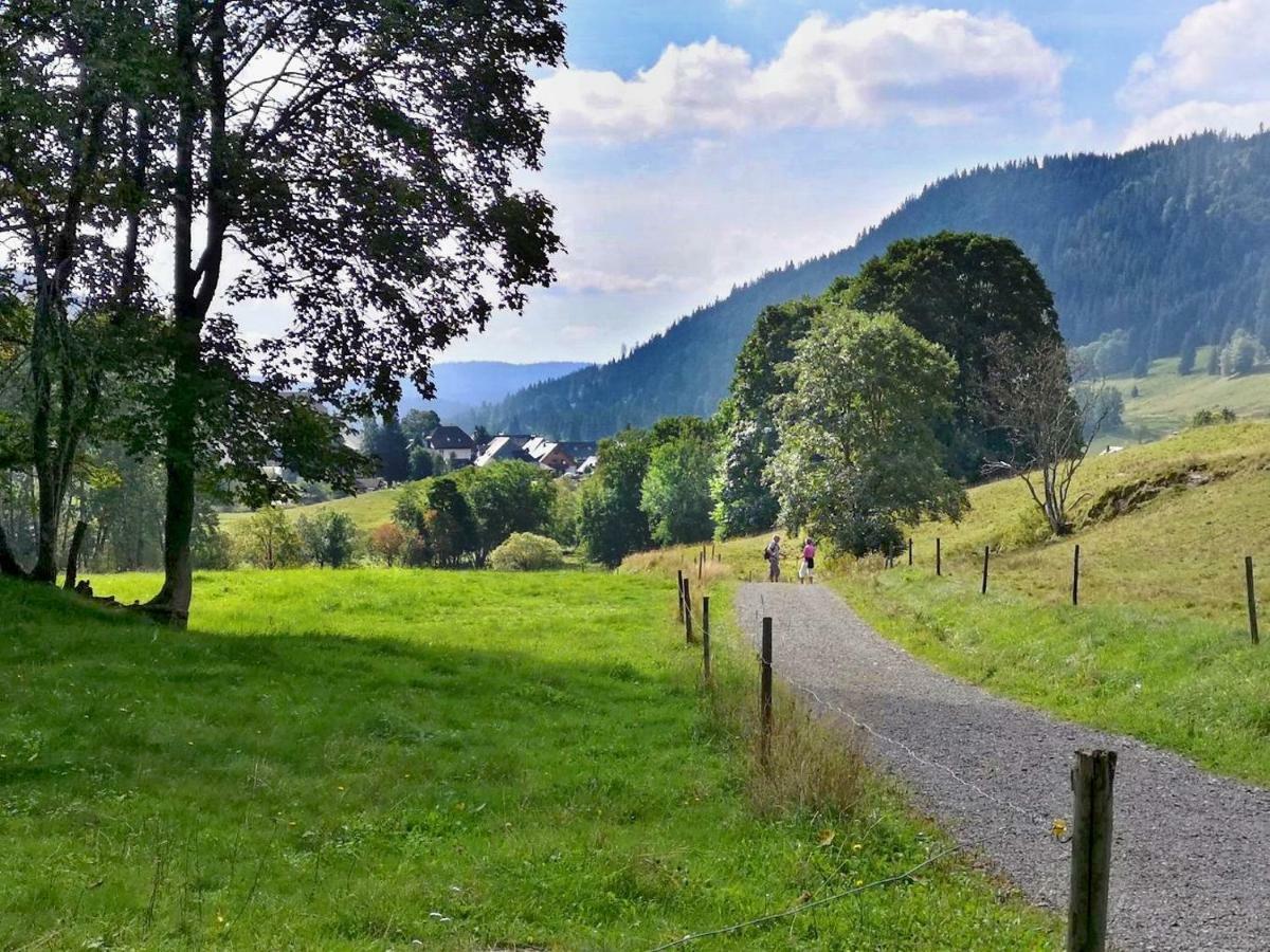 C4 Albmatte-Fewo Sauna, Hallenbad Aussenbecken Massagen Nebenan Menzenschwand-Hinterdorf Exteriör bild