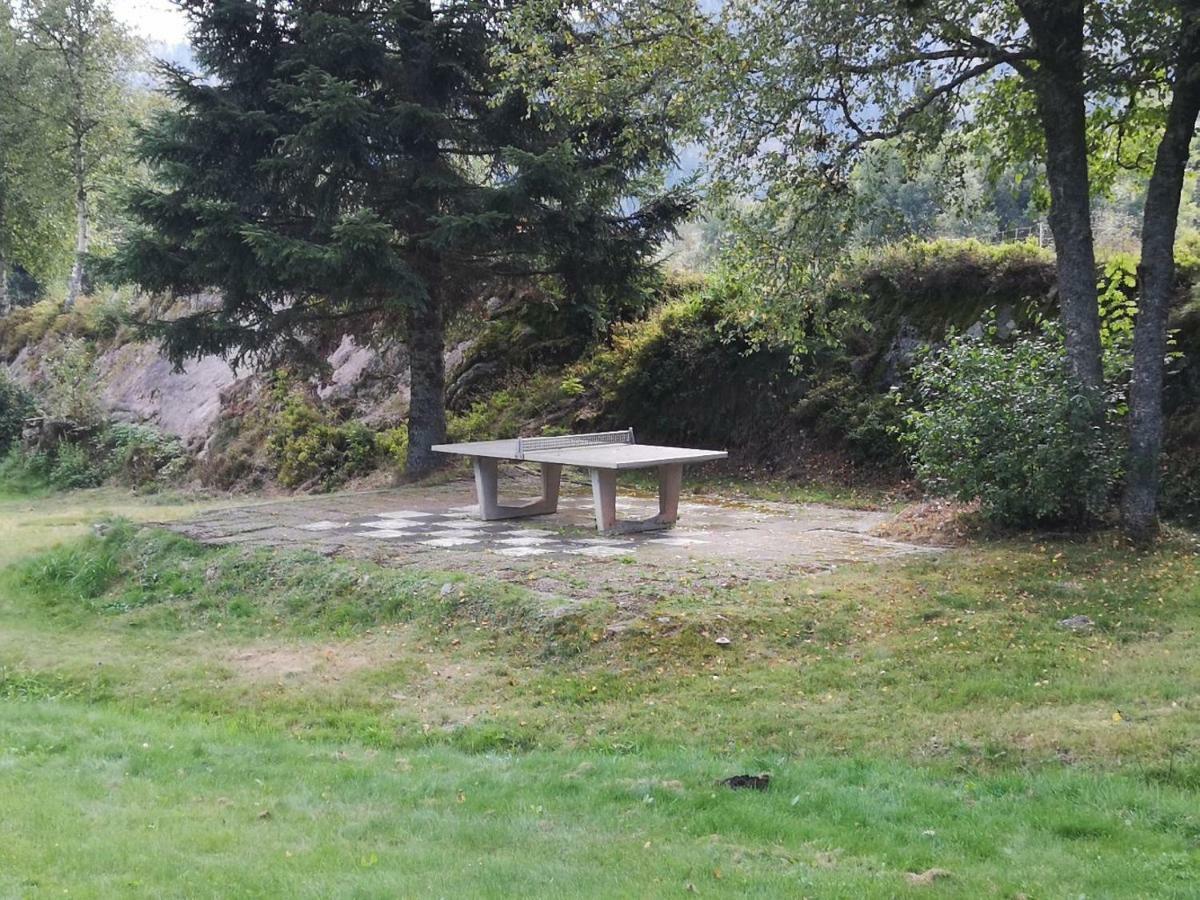 C4 Albmatte-Fewo Sauna, Hallenbad Aussenbecken Massagen Nebenan Menzenschwand-Hinterdorf Exteriör bild