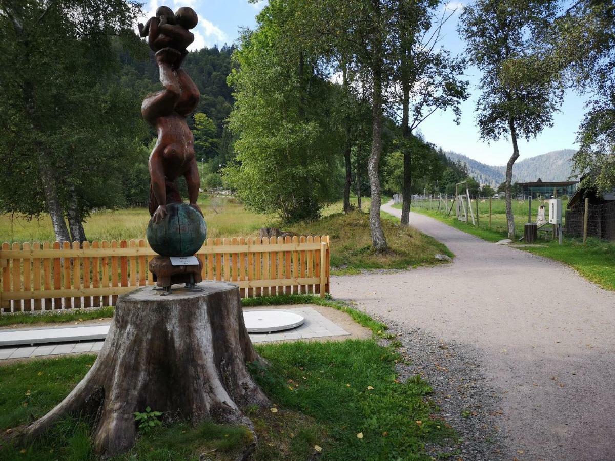 C4 Albmatte-Fewo Sauna, Hallenbad Aussenbecken Massagen Nebenan Menzenschwand-Hinterdorf Exteriör bild